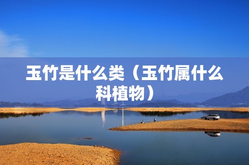 玉竹是什么类（玉竹属什么科植物）