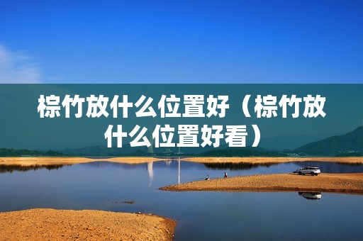 棕竹放什么位置好（棕竹放什么位置好看）