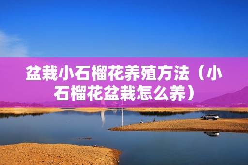 盆栽小石榴花养殖方法（小石榴花盆栽怎么养）