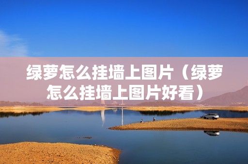 绿萝怎么挂墙上图片（绿萝怎么挂墙上图片好看）