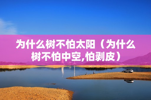 为什么树不怕太阳（为什么树不怕中空,怕剥皮）