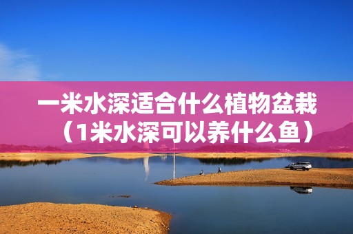 一米水深适合什么植物盆栽（1米水深可以养什么鱼）