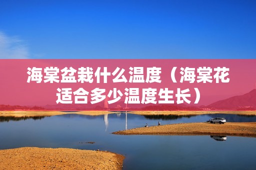 海棠盆栽什么温度（海棠花适合多少温度生长）