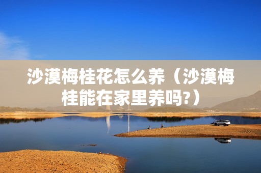 沙漠梅桂花怎么养（沙漠梅桂能在家里养吗?）