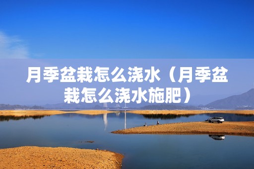 月季盆栽怎么浇水（月季盆栽怎么浇水施肥）