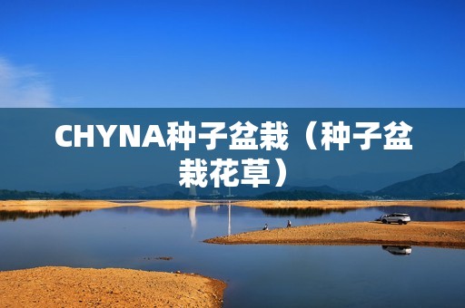 CHYNA种子盆栽（种子盆栽花草）