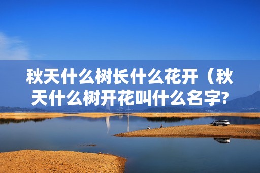 秋天什么树长什么花开（秋天什么树开花叫什么名字?）