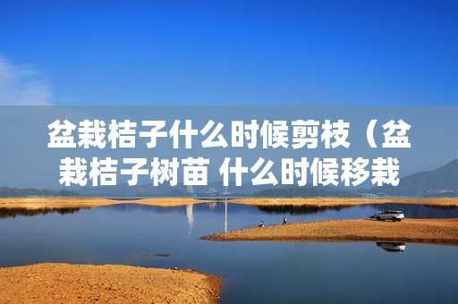 盆栽桔子什么时候剪枝（盆栽桔子树苗 什么时候移栽最好）