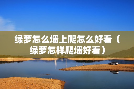 绿萝怎么墙上爬怎么好看（绿萝怎样爬墙好看）