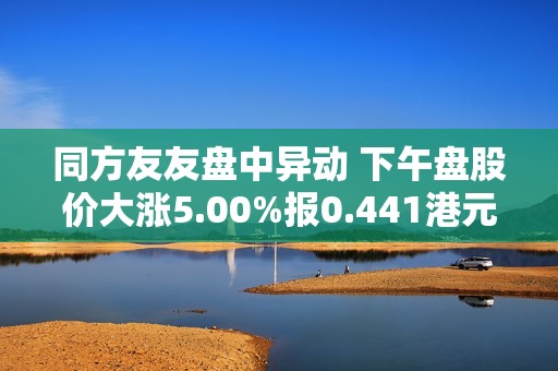 同方友友盘中异动 下午盘股价大涨5.00%报0.441港元