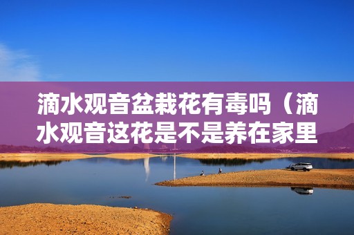 滴水观音盆栽花有毒吗（滴水观音这花是不是养在家里有毒?）