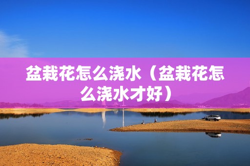 盆栽花怎么浇水（盆栽花怎么浇水才好）