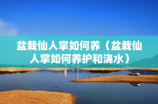 盆栽仙人掌如何养（盆栽仙人掌如何养护和浇水）