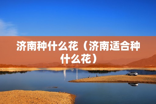 济南种什么花（济南适合种什么花）