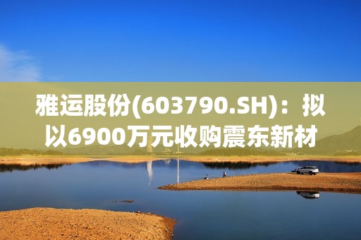 雅运股份(603790.SH)：拟以6900万元收购震东新材料29%的股权  提升助剂业务实力