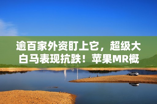 逾百家外资盯上它，超级大白马表现抗跌！苹果MR概念股火爆