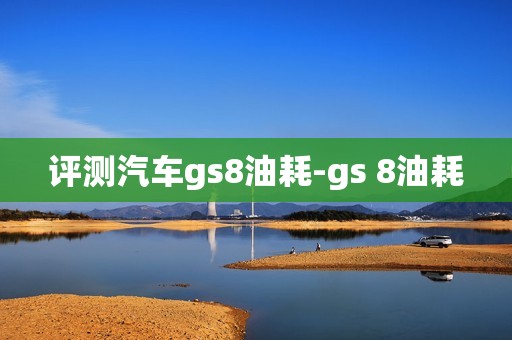 评测汽车gs8油耗-gs 8油耗