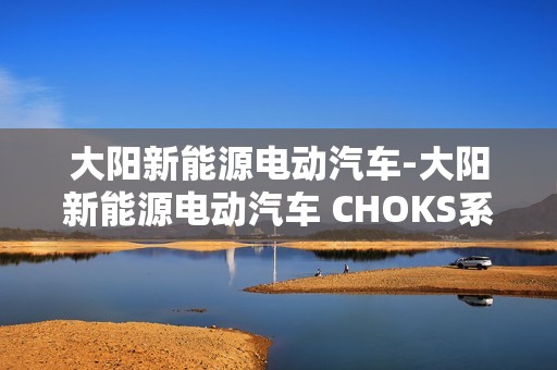 大阳新能源电动汽车-大阳新能源电动汽车 CHOKS系