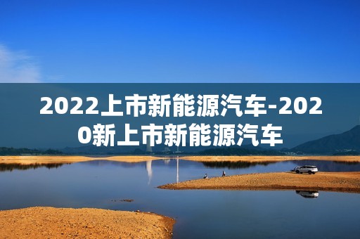 2022上市新能源汽车-2020新上市新能源汽车