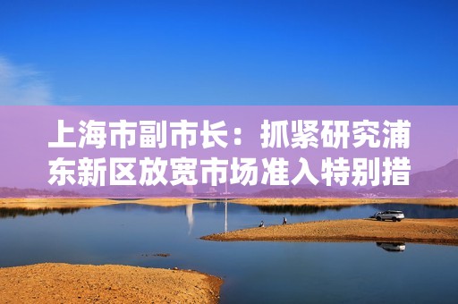 上海市副市长：抓紧研究浦东新区放宽市场准入特别措施