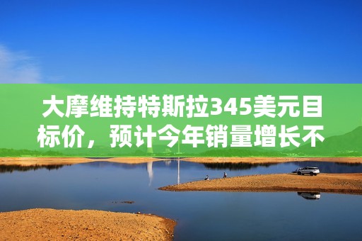 大摩维持特斯拉345美元目标价，预计今年销量增长不到去年一半