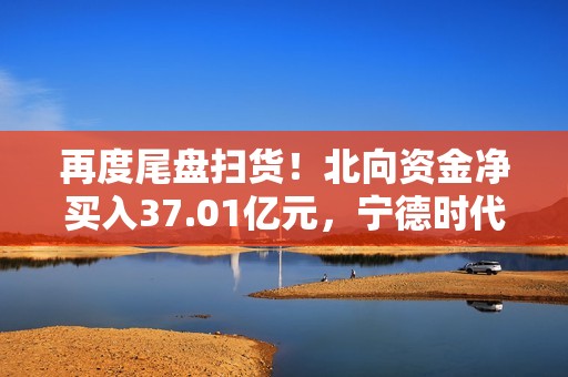 再度尾盘扫货！北向资金净买入37.01亿元，宁德时代、贵州茅台等获加仓