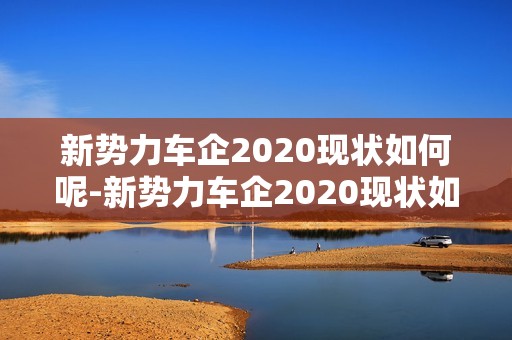 新势力车企2020现状如何呢-新势力车企2020现状如何呢视频