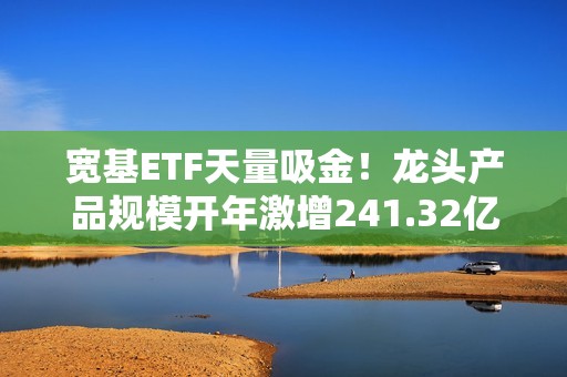 宽基ETF天量吸金！龙头产品规模开年激增241.32亿，A股优质核心资产的战略配置价值凸显！