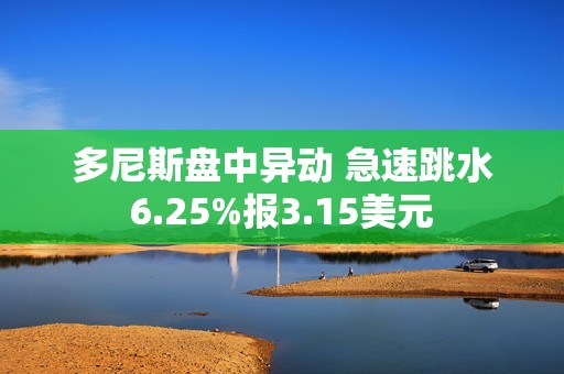 多尼斯盘中异动 急速跳水6.25%报3.15美元