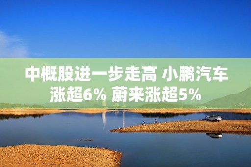 中概股进一步走高 小鹏汽车涨超6% 蔚来涨超5%