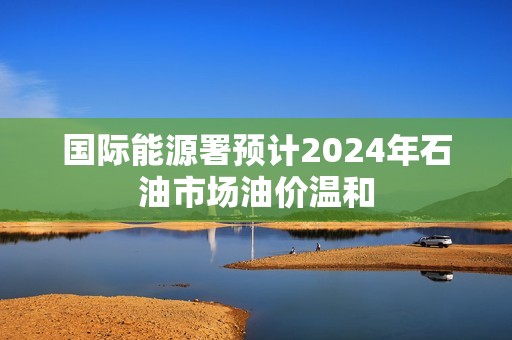 国际能源署预计2024年石油市场油价温和