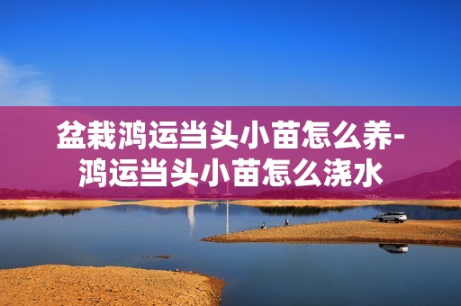 盆栽鸿运当头小苗怎么养-鸿运当头小苗怎么浇水