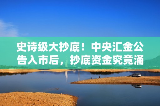 史诗级大抄底！中央汇金公告入市后，抄底资金究竟涌入了多少？超4000亿元！