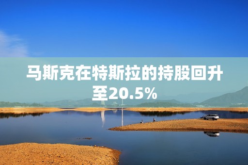 马斯克在特斯拉的持股回升至20.5%