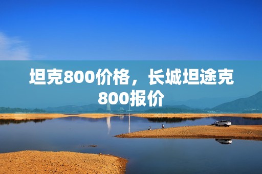 坦克800价格，长城坦途克800报价