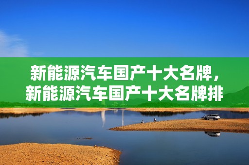 新能源汽车国产十大名牌，新能源汽车国产十大名牌排名