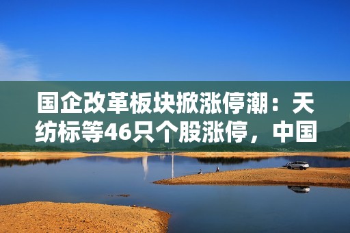 国企改革板块掀涨停潮：天纺标等46只个股涨停，中国化学、红棉股份获大笔增持