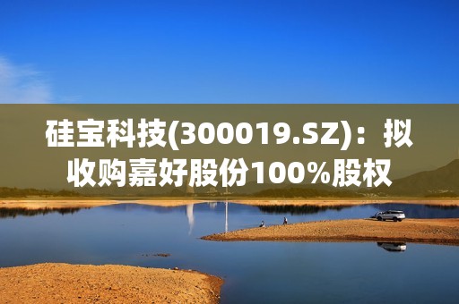 硅宝科技(300019.SZ)：拟收购嘉好股份100%股权