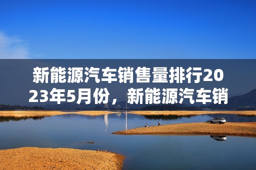 新能源汽车销售量排行2023年5月份，新能源汽车销售量排行2023年5月份