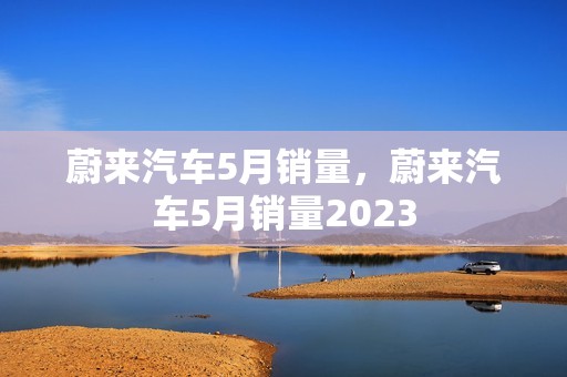 蔚来汽车5月销量，蔚来汽车5月销量2023