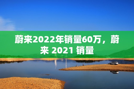 蔚来2022年销量60万，蔚来 2021 销量