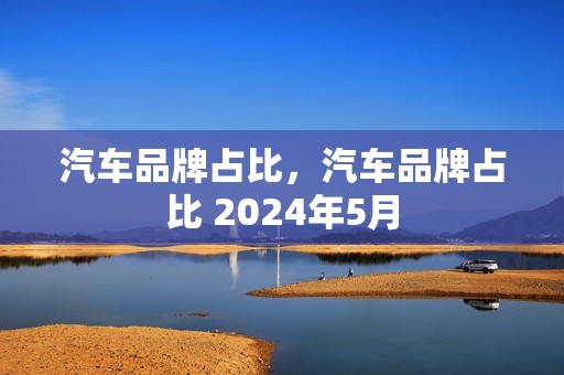 汽车品牌占比，汽车品牌占比 2024年5月