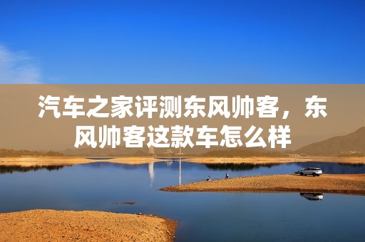 汽车之家评测东风帅客，东风帅客这款车怎么样