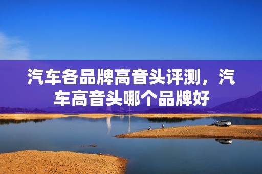 汽车各品牌高音头评测，汽车高音头哪个品牌好