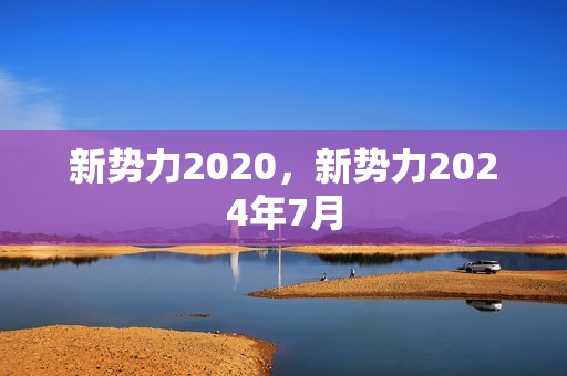 新势力2020，新势力2024年7月