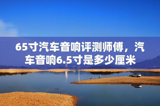 65寸汽车音响评测师傅，汽车音响6.5寸是多少厘米