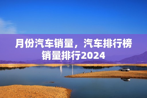 月份汽车销量，汽车排行榜销量排行2024