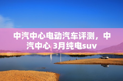 中汽中心电动汽车评测，中汽中心 3月纯电suv