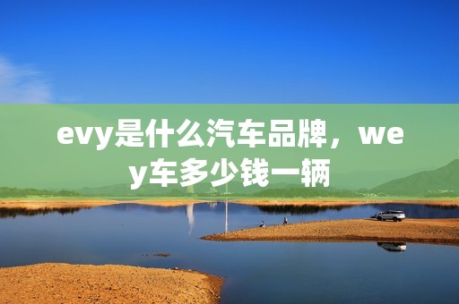 evy是什么汽车品牌，wey车多少钱一辆