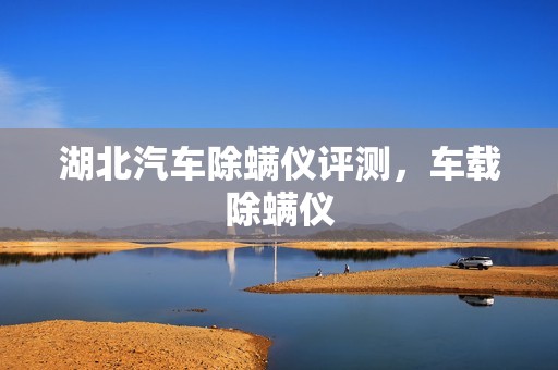 湖北汽车除螨仪评测，车载除螨仪